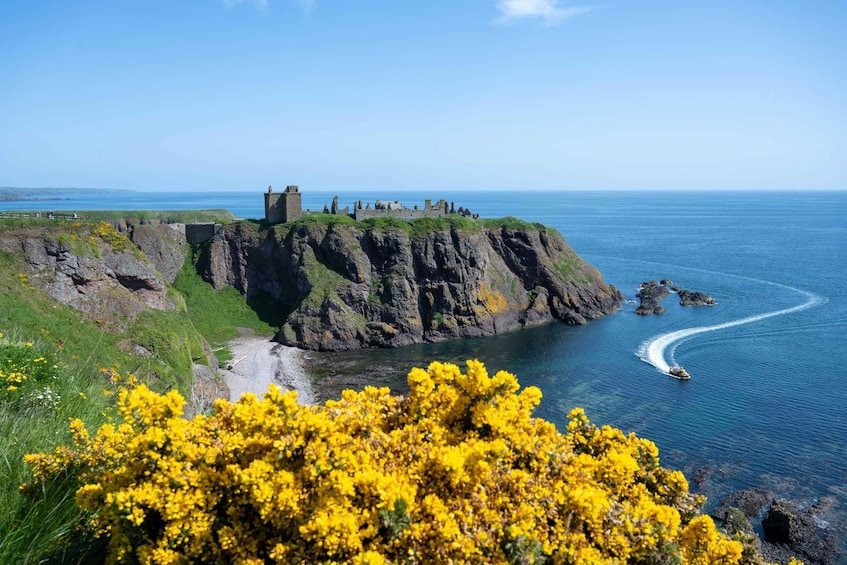 A coastal cliff with ruins, a clear blue sea, and yellow flowers in the foreground. 1