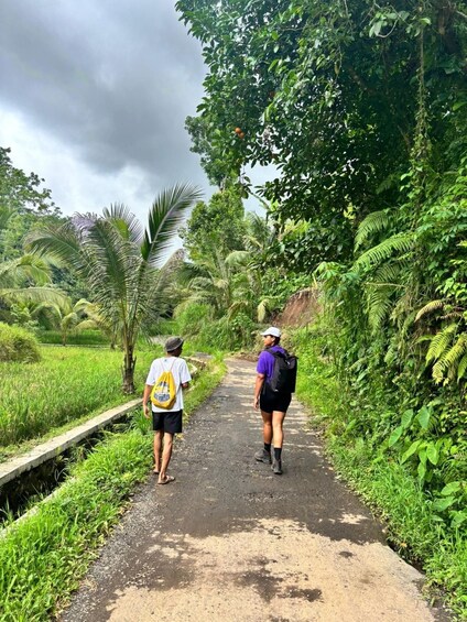 Two people walking on a dirt path surrounded by lush greenery and palm trees. 4