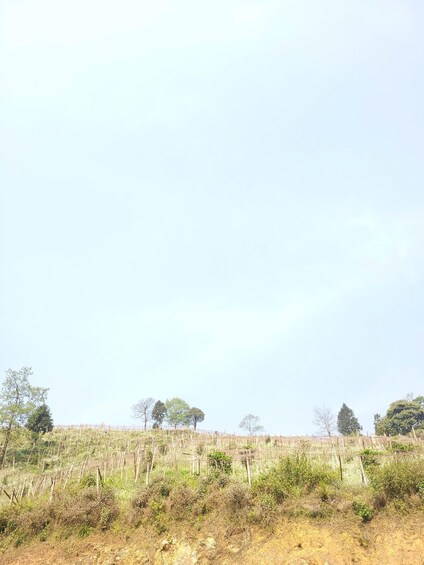 A rural landscape with a fence, sparse vegetation, and a clear sky. 3