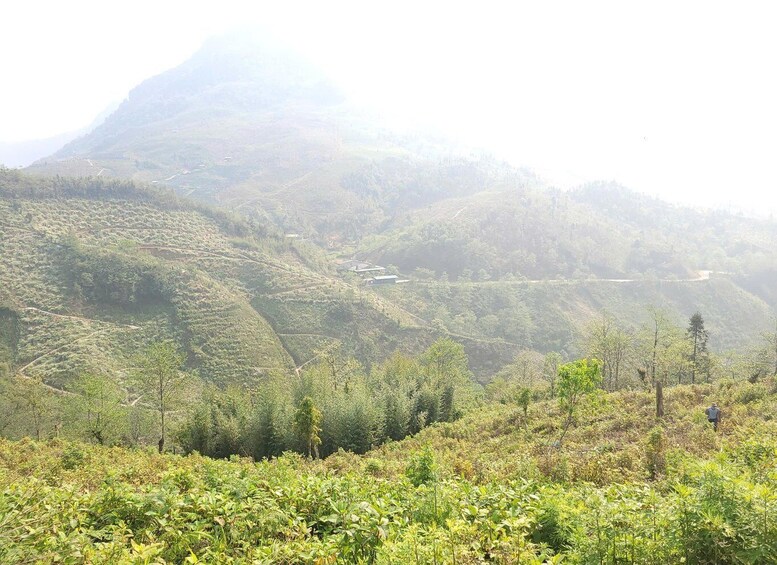 A mountainous landscape with terraced fields and a person walking in the foreground. 4