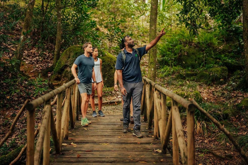 A wooden bridge in a forest with people walking on it. 3