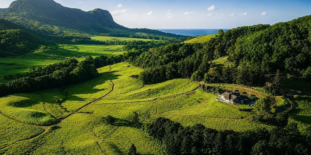 A lush green valley with terraced fields, a small cluster of houses, and a mountain in the background. 5