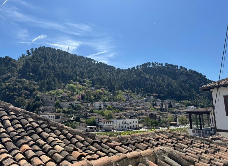 A hillside village with terracotta roofs and buildings nestled among trees. 2