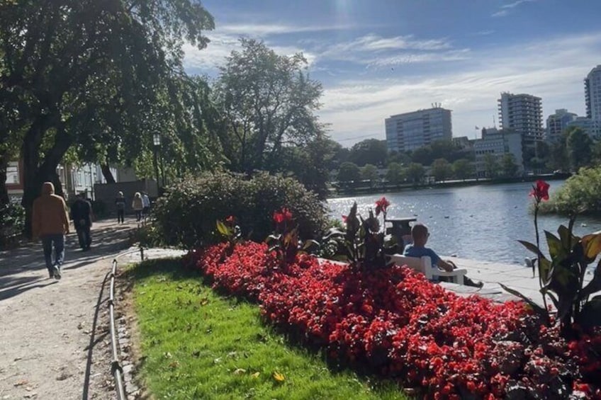 A riverside walkway with red flowers, a person sitting on a bench, and a cityscape in the background. 4