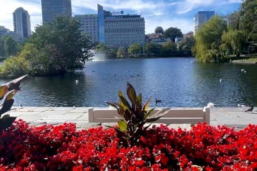 A lake with ducks, a bench, and red flowers in the foreground. 1