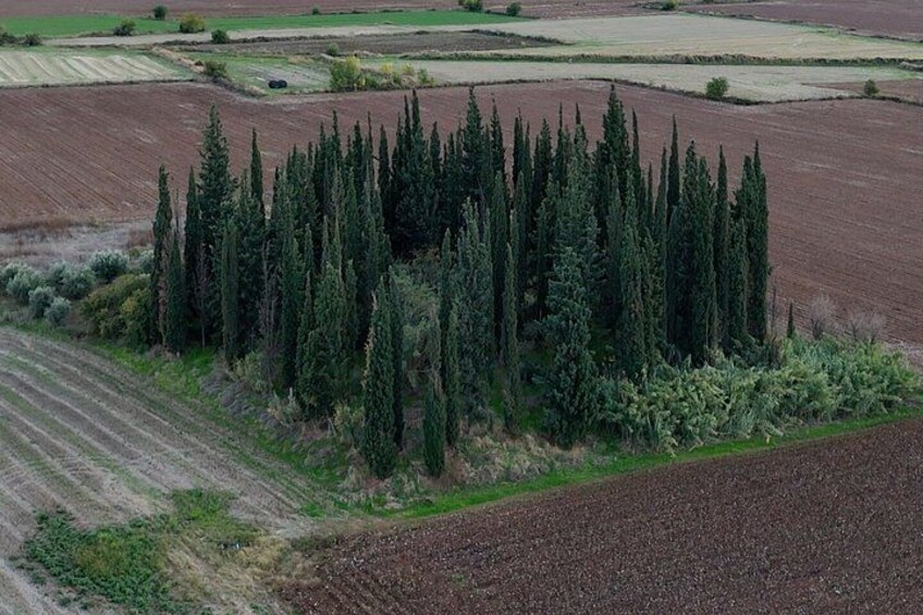 Half-day Chaeronea Tour: Alexander's First Battle 3