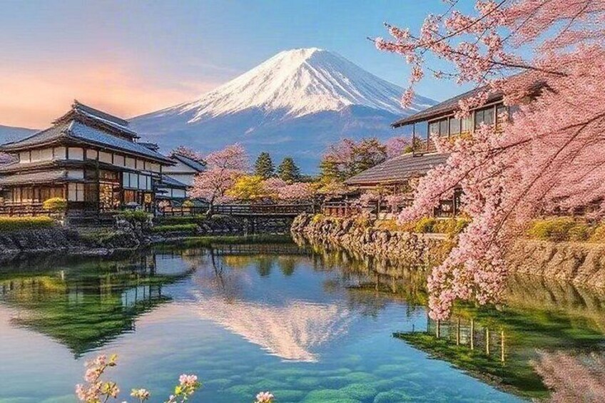 Mt. Fuji Instagrammable Flower Viewing Day Tour 2
