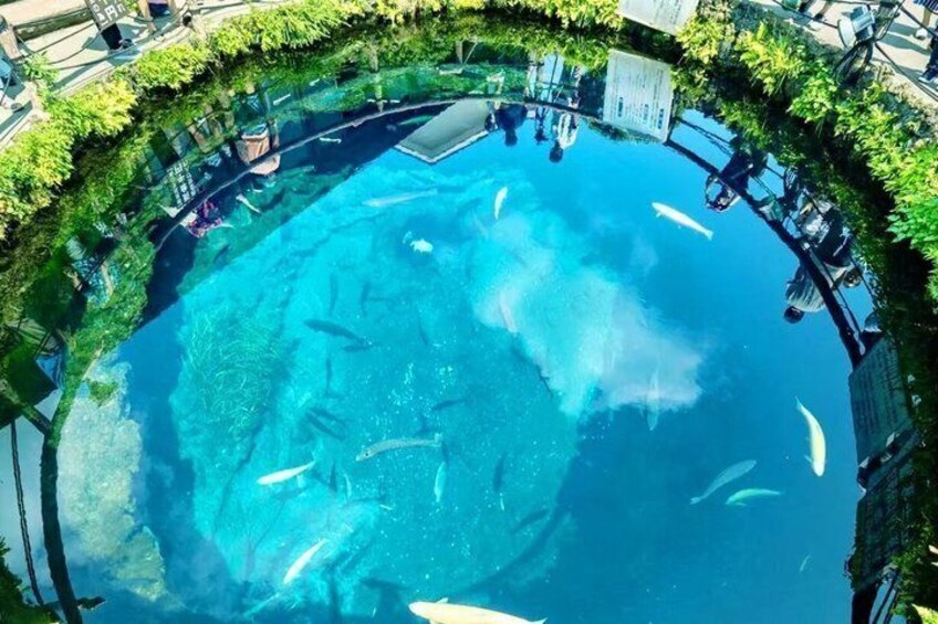 A circular pool with clear water, surrounded by greenery and a walkway. 4