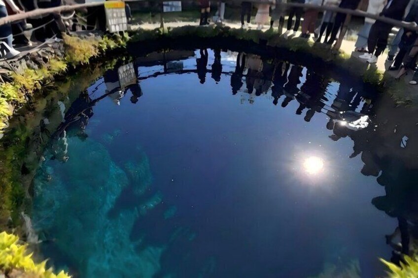 A circular pond with clear water, surrounded by greenery and a fence. 2