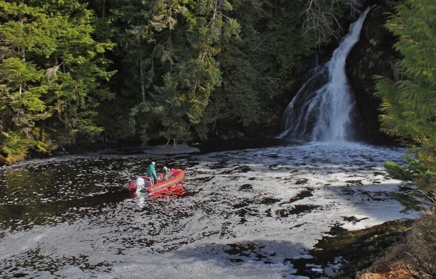 A river with a waterfall, surrounded by dense forest. 1