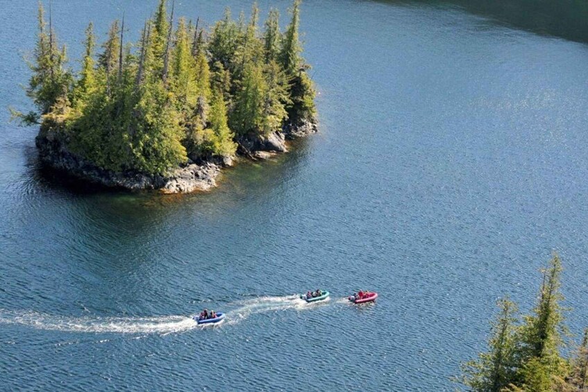A group of boats on a lake with a forested island. 5