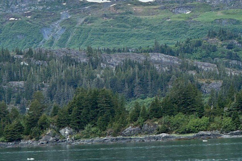 A forested mountain landscape with a body of water in the foreground. 2