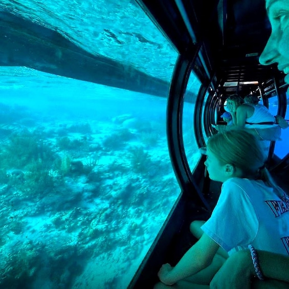 An underwater scene with coral reefs and marine life visible through a glass window. 1