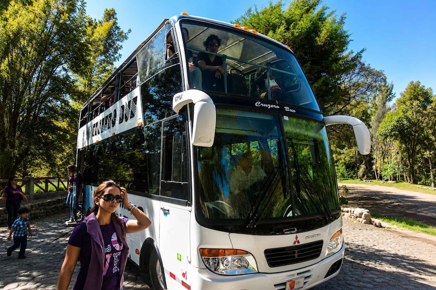 A double-decker bus with 'Cruzer Bus' written on the side, parked on a cobblestone path surrounded by trees. 4