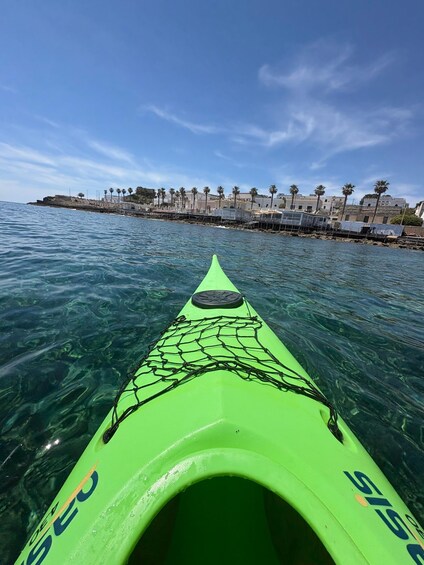 A green kayak on clear water with a rocky shoreline and palm trees in the background. 5