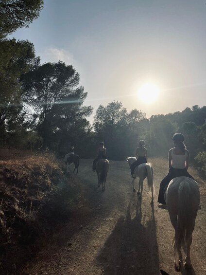 A group of people horseback riding on a dirt path with trees on either side. 5