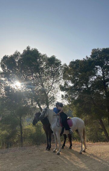 Picture 5 for Activity 1-Hour Horseback Ride through the Montes Málaga Nature Area 3