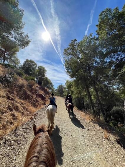 A group of people horseback riding on a dirt path surrounded by trees. 2