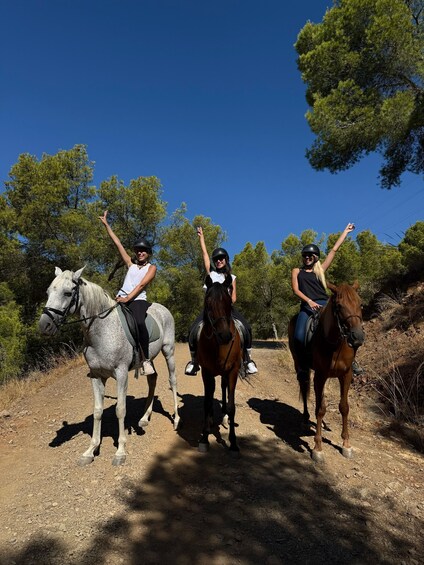 Three people riding horses on a dirt path with trees in the background. 4