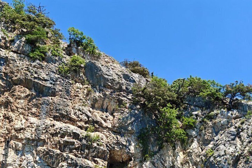 A rocky cliff with sparse vegetation and a clear blue sky. 4