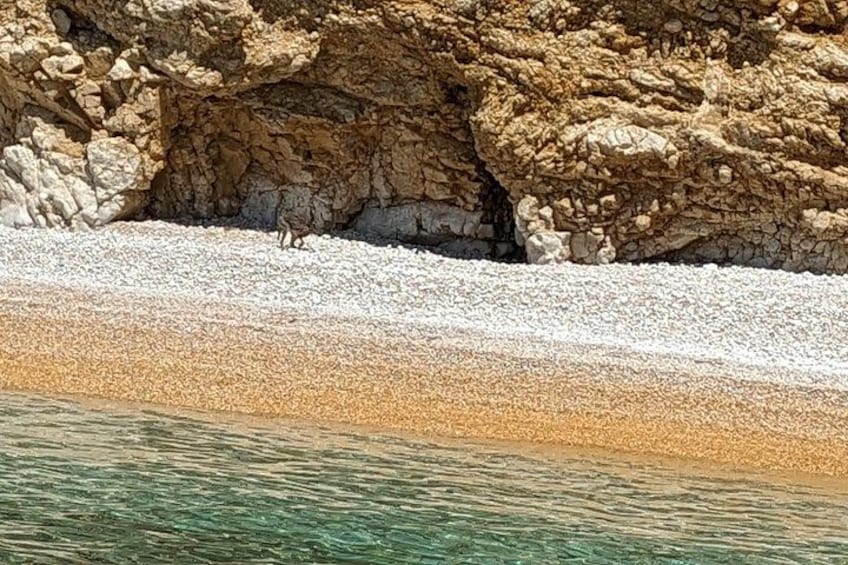 A rocky shoreline with clear water and a pebbly beach. 3
