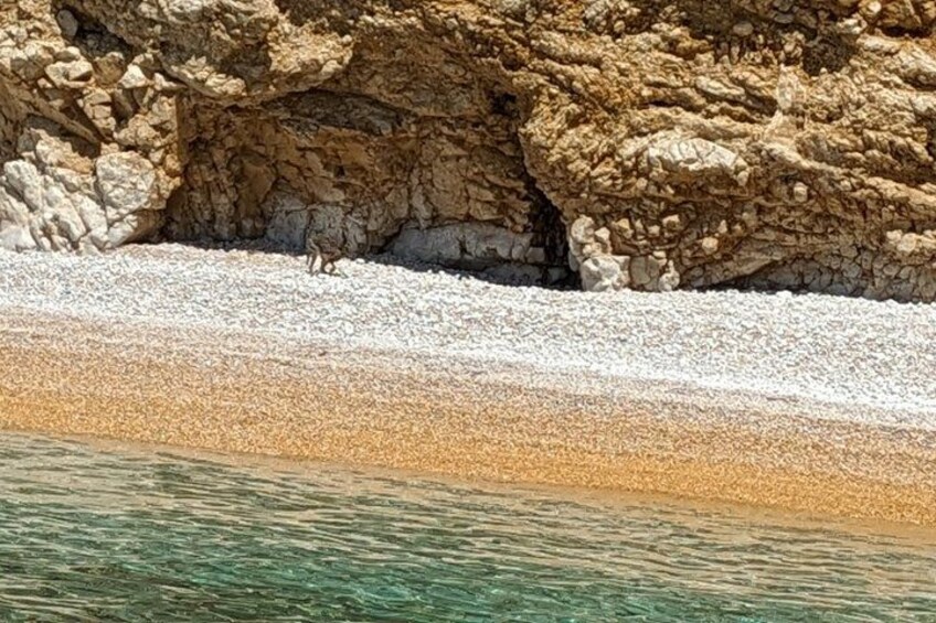 A rocky shoreline with clear water and a pebbly beach. 3