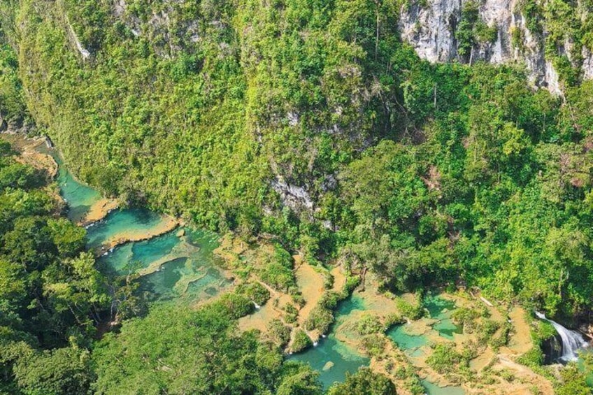 A lush green forest with a river and a waterfall. 4