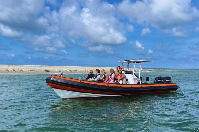 Seal Watching RIB Tour from Terschelling 1