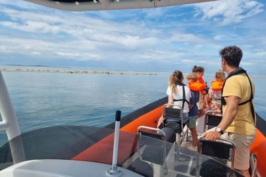Seal Watching RIB Tour from Terschelling 2