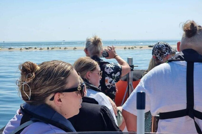 Seal Watching RIB Tour from Terschelling 4