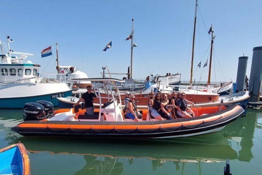 Seal Watching RIB Tour from Terschelling 3