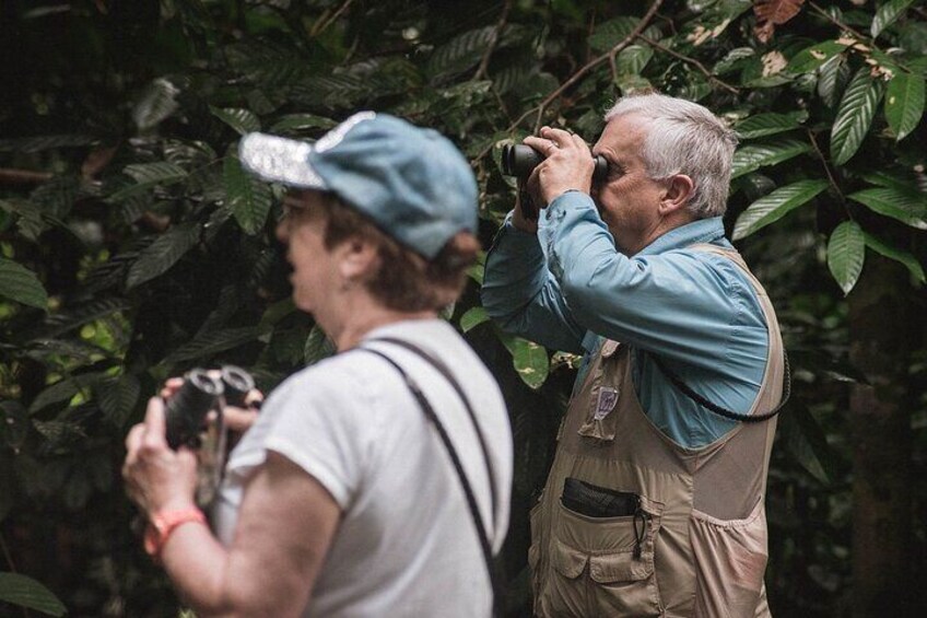 Two people using binoculars in a forested area. 2