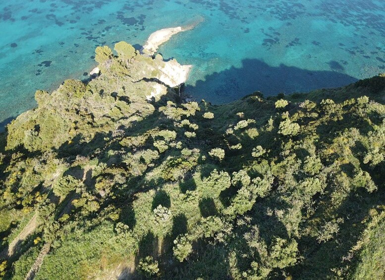 An aerial view of a coastal area with dense vegetation and clear blue waters. 2