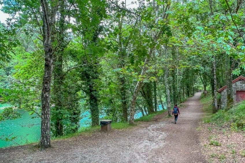 A person walking on a gravel path surrounded by trees and a body of water. 4