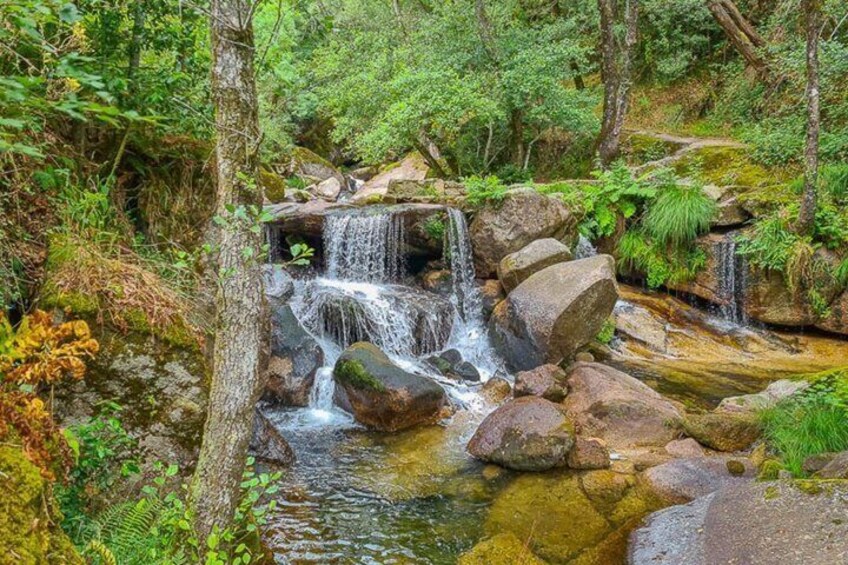 A small waterfall surrounded by rocks and greenery. 2