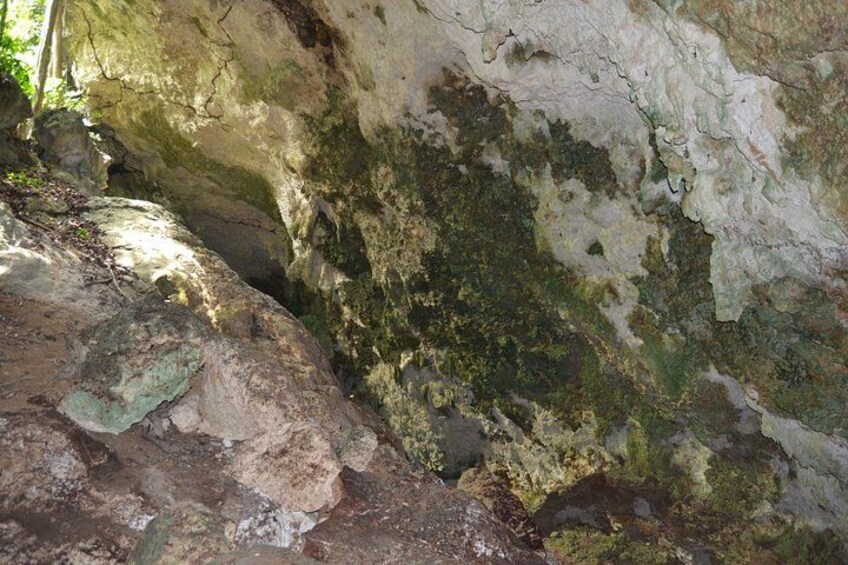 A cave interior with rocky walls and patches of green moss. 2