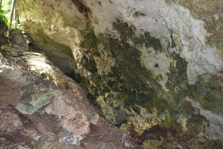 A cave interior with rocky walls and patches of green moss. 2