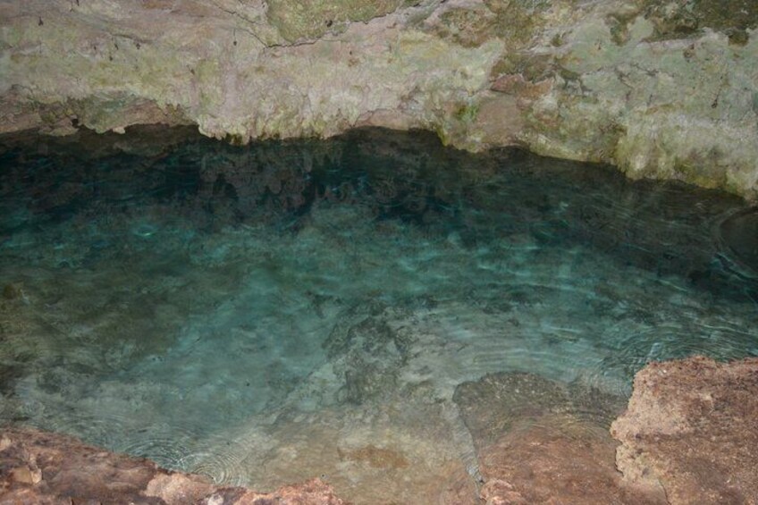 A clear, shallow pool with rocky edges and a moss-covered surface. 3