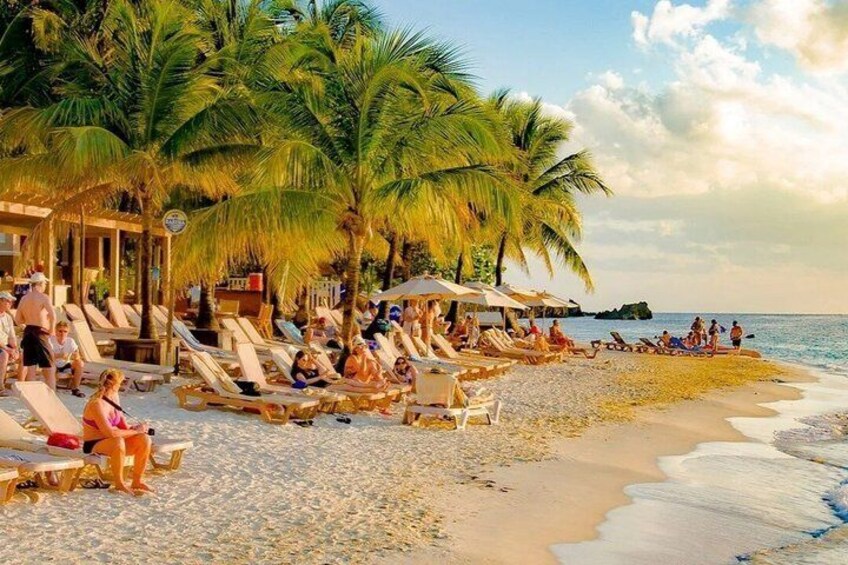 A beach with palm trees, sun loungers, and people relaxing. 1