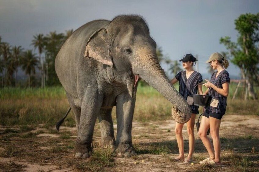 An elephant with two people standing beside it. 5