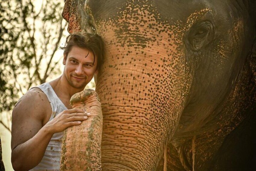 A person hugging an elephant. 2