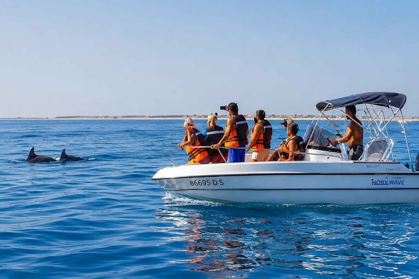 A boat with passengers and dolphins in the water. 1