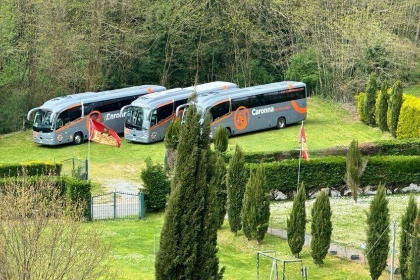 Three buses parked in a landscaped area with neatly trimmed hedges and trees. 2