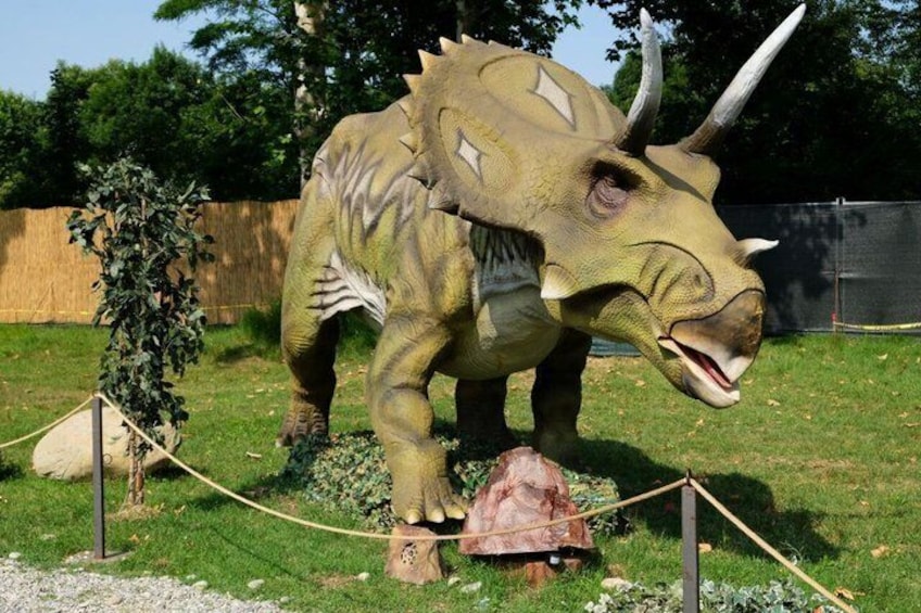 Lucca Dinosaurs Animals and Shows at Serbacco Family Park 4