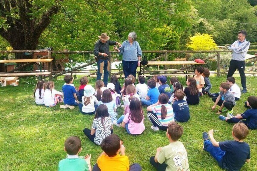 Lucca Dinosaurs Animals and Shows at Serbacco Family Park 2