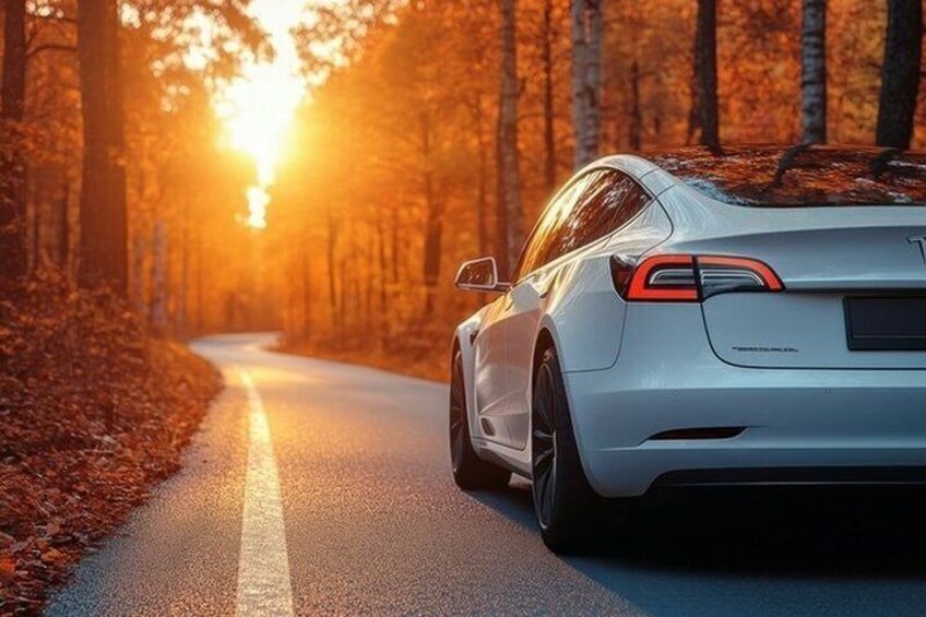 A white car driving on a road through a forest with sunlight filtering through the trees. 3