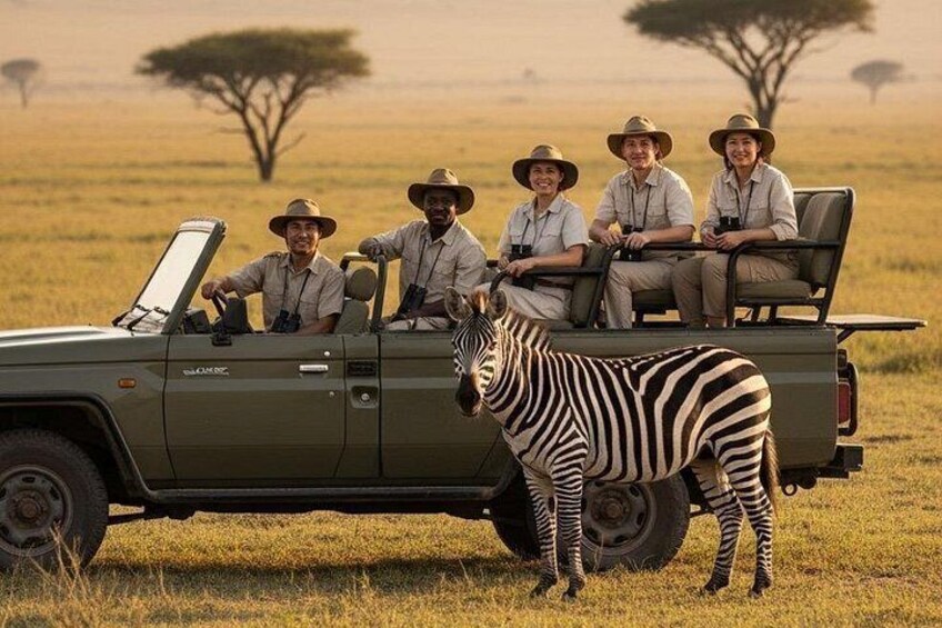 A safari vehicle with four people and a zebra in a grassy field with trees in the background. 1