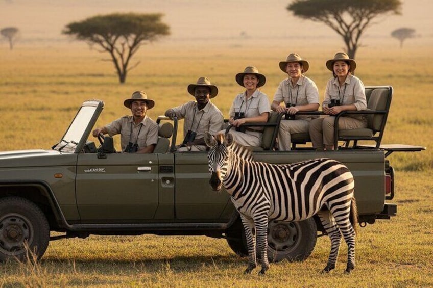 A safari vehicle with four people and a zebra in a grassy savannah. 1