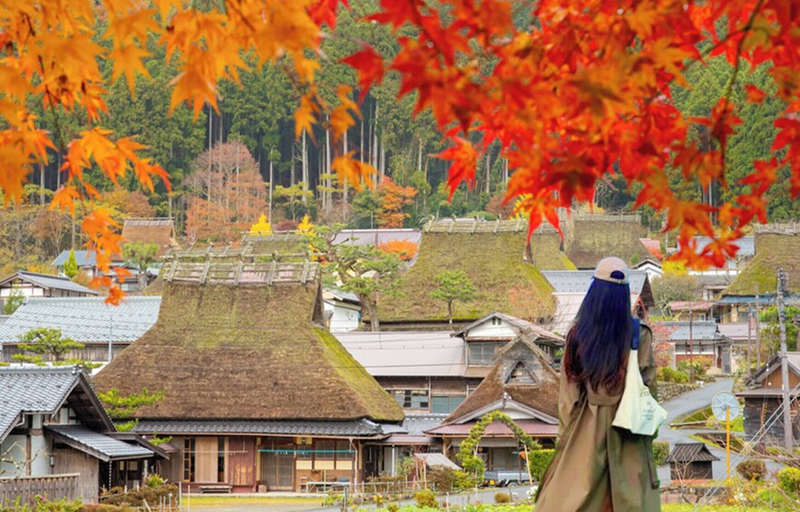 A traditional Japanese village with thatched-roof houses and autumn foliage. 4
