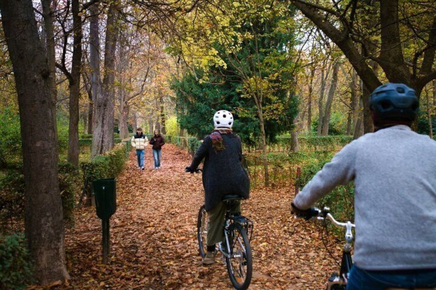 A forest path with cyclists and pedestrians. 4